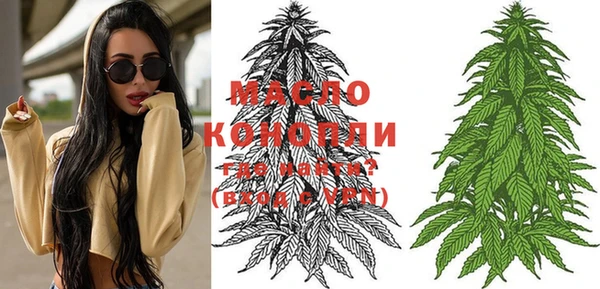 дживик Магас