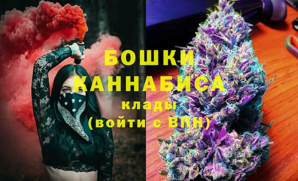 дживик Магас