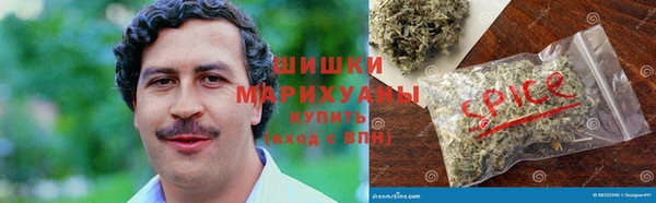 дживик Магас
