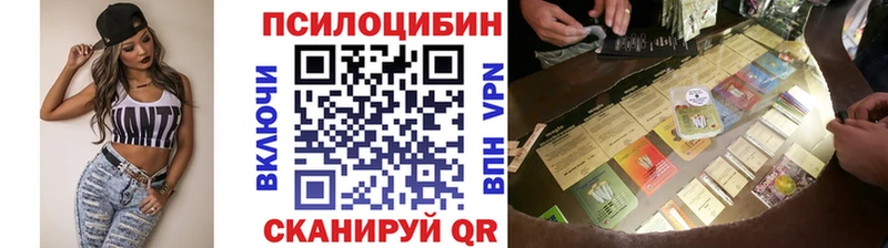 дарк нет состав  Пролетарск  Галлюциногенные грибы Cubensis 