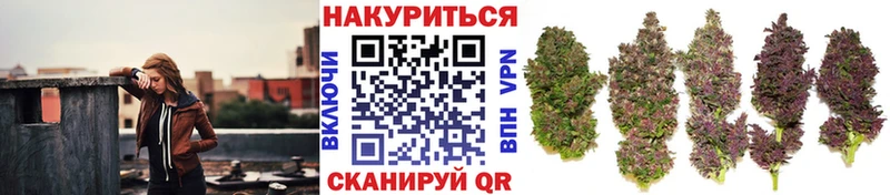 Шишки марихуана VHQ  mega вход  Пролетарск 